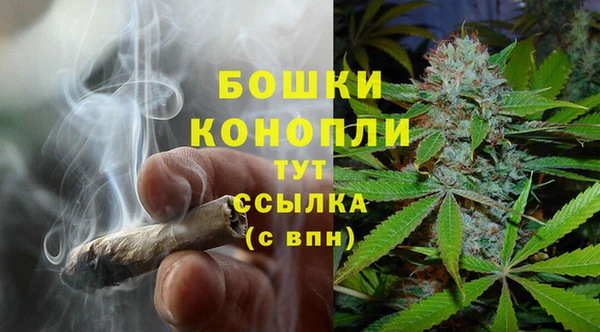 PSILOCYBIN Заволжье