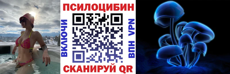 kraken   купить наркотик  Торопец  Псилоцибиновые грибы прущие грибы 