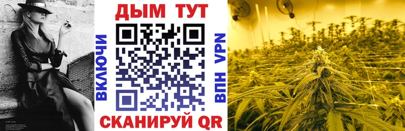 купить наркотик  Торопец  Конопля индика 